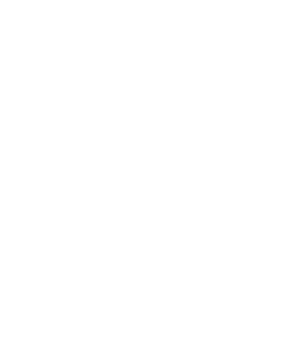 Pontificia Universidad Católica